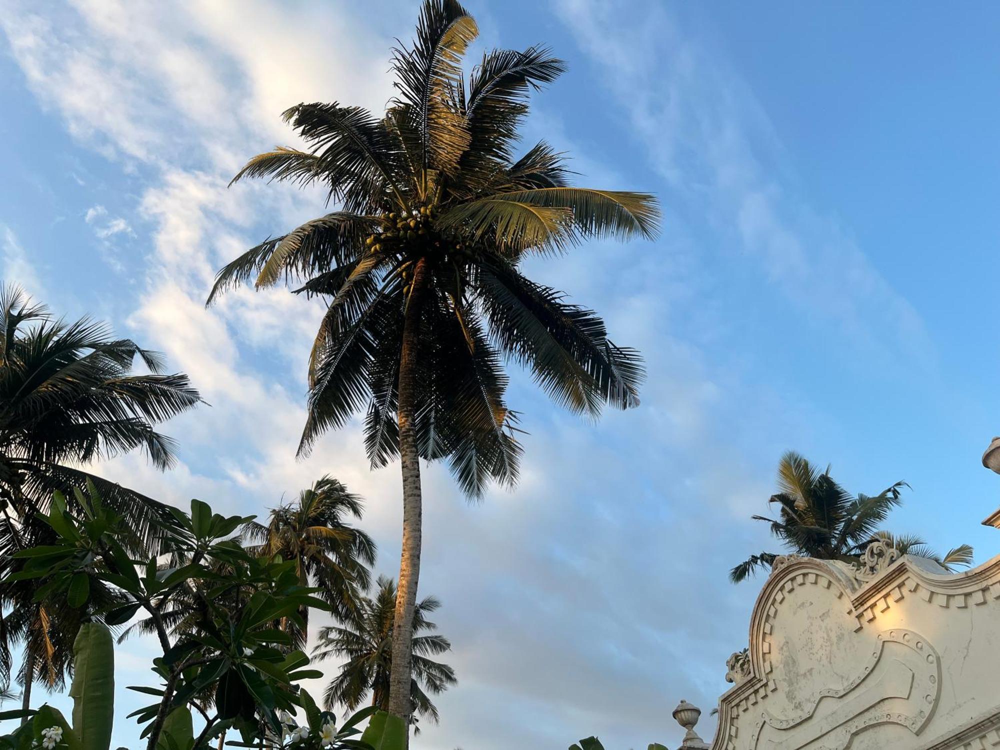 Samudrawasa Luxury Colonial Villa & Beach House Ambalangoda  Kültér fotó